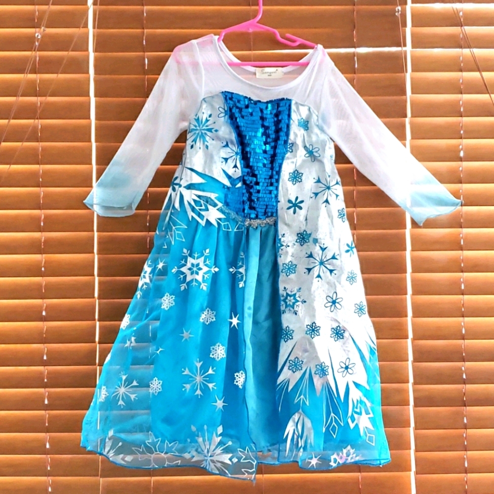 Disney princess Elsa dress